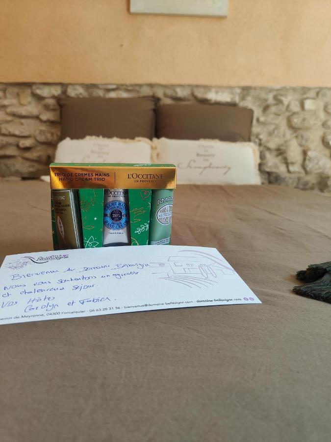 Domaine Bellavigne Gites Et Spa Forcalquier Εξωτερικό φωτογραφία